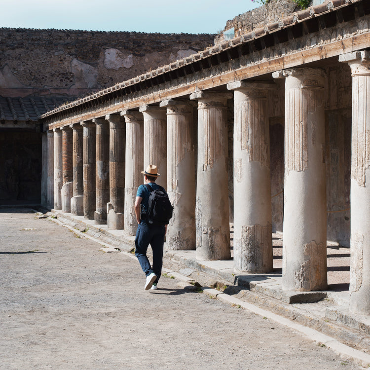 Train tour of Pompeii from Naples, guide and priority entrance ticket | inStazione