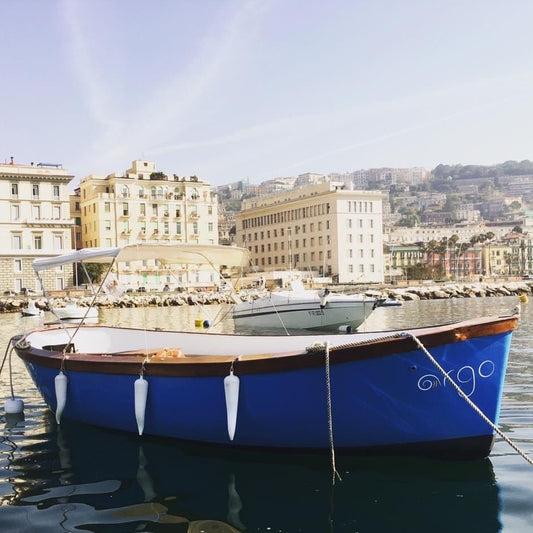Tour in barca gozzo tipico Napoli Posillipo 3 ore | inStazione