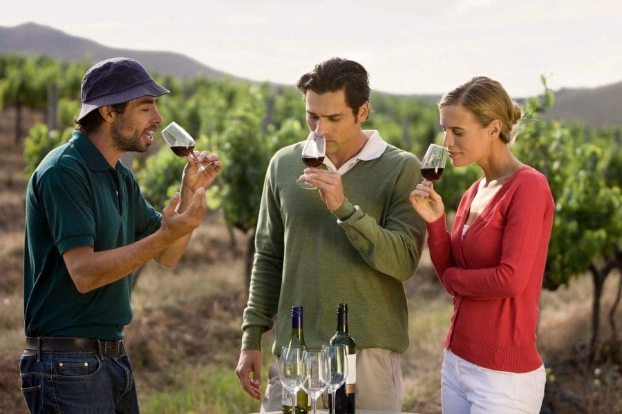 Mount Vesuvius Wine Tour with Tastings and Lunch