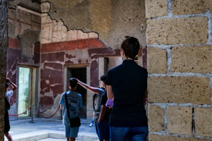 Vesuvius Tour and Herculaneum Walking Tour