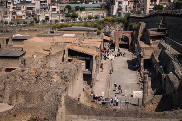 Naples: Mount Vesuvius and Herculaneum Guided Tour